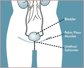 Electro Sex Stimulation